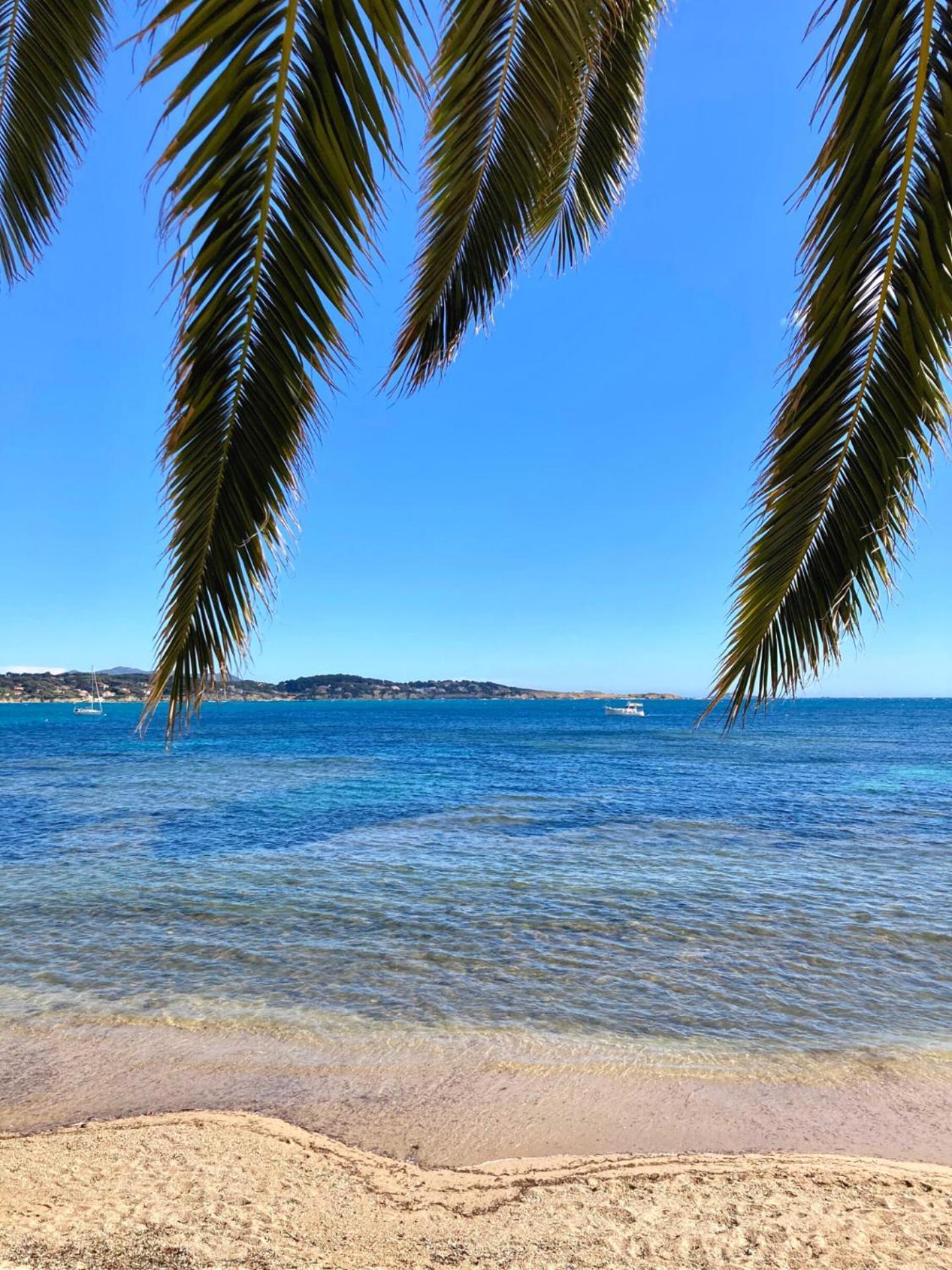 Appartement Coup De Coeur Centre Village Et Plage Climatise 3 Etoiles Terra Cigala Bandol Exterior photo